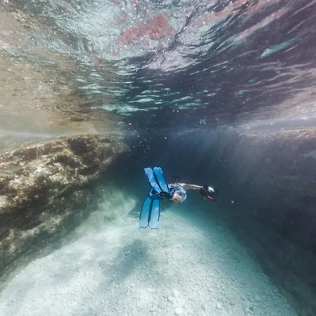 Emelisse Nature Fiszkárdo