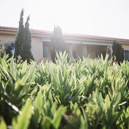 Emelisse Nature מלון